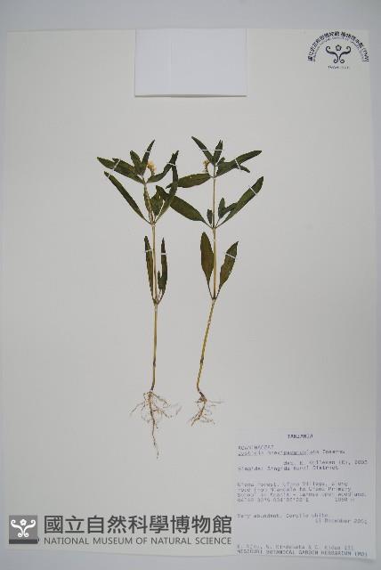 登錄號:S093840藏品圖，第1張