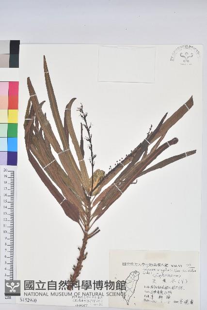 登錄號:S152940藏品圖，第1張