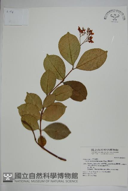 Accession Number:S042940 Collection Image, Figure 1, Total 5 Figures