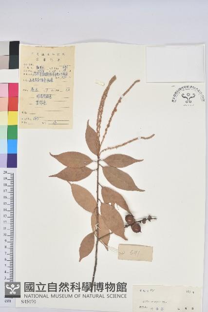 登錄號:S045070藏品圖，第1張