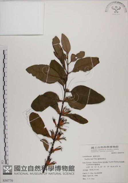 Accession Number:S050770 Collection Image, Figure 1, Total 4 Figures