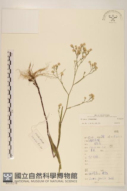 登錄號:S133270藏品圖，第1張