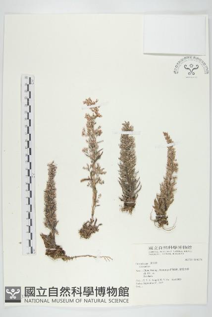 登錄號:S046370藏品圖，第1張