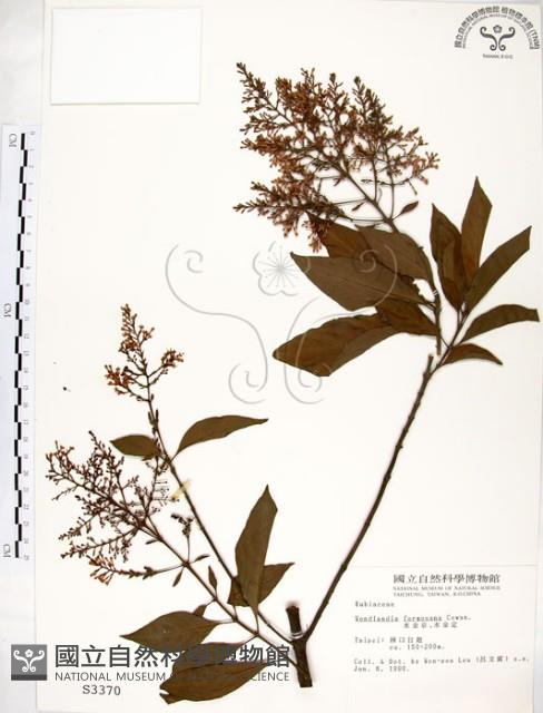 水金京藏品圖，第1張