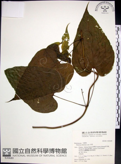 百部藏品圖，第1張