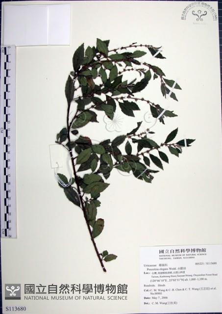 水雞油藏品圖，第1張