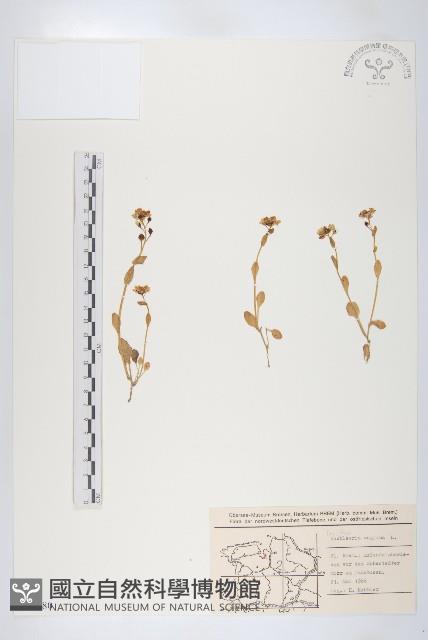 登錄號:S077680藏品圖，第1張