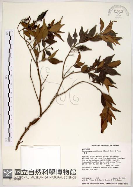 十子木、加入舅藏品圖，第1張