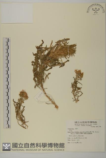 登錄號:S071780藏品圖，第1張