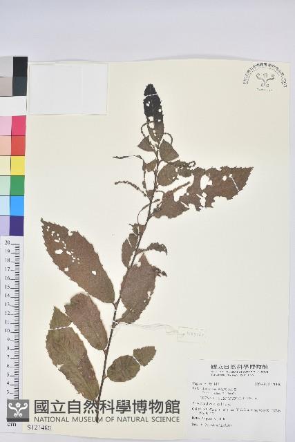 登錄號:S121480藏品圖，第1張