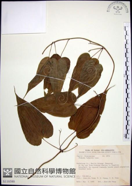 百部藏品圖，第1張