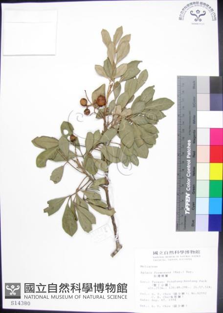 紅柴藏品圖，第1張