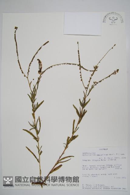 登錄號:S094380藏品圖，第1張