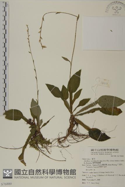 臺灣鬼督郵藏品圖，第1張