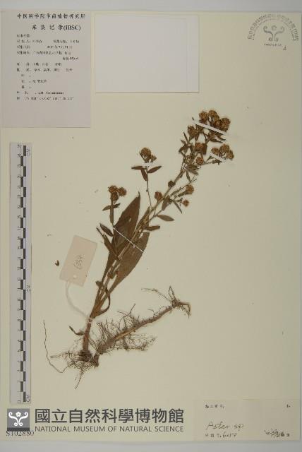 登錄號:S102880藏品圖，第1張