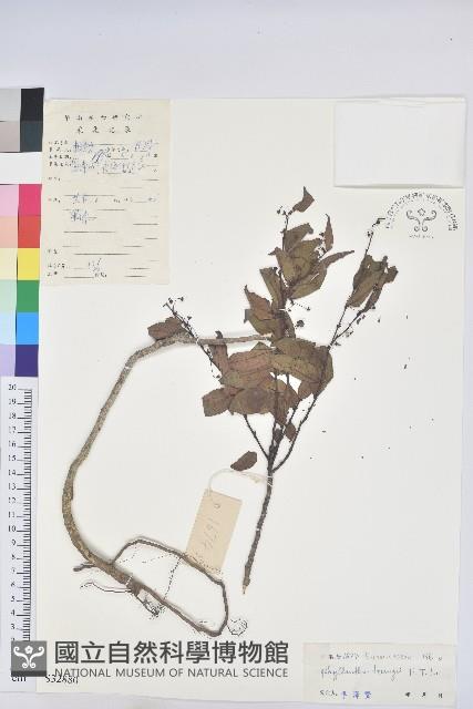 登錄號:S032880藏品圖，第1張