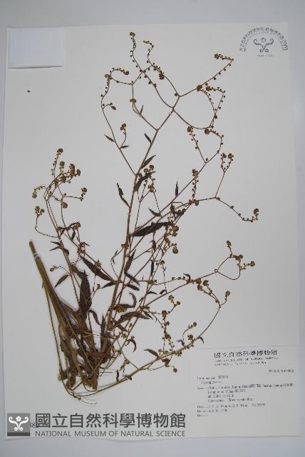 登錄號:S034880藏品圖，第1張