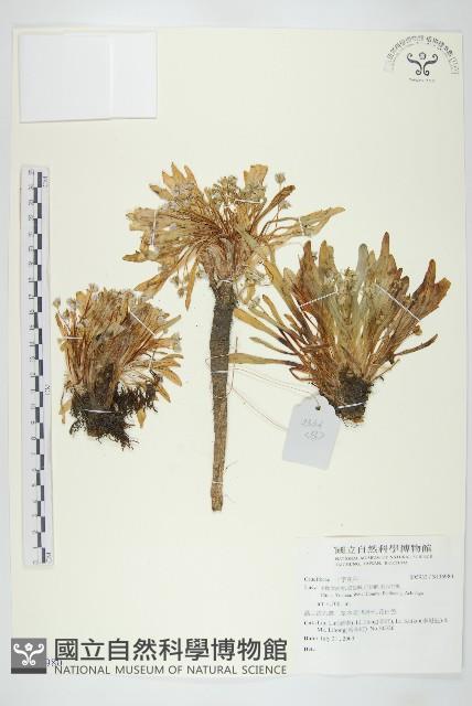 登錄號:S136980藏品圖，第1張