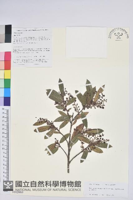 登錄號:S105980藏品圖，第1張