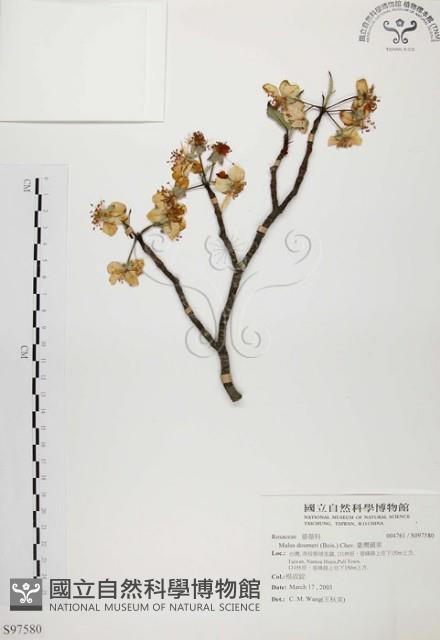 臺灣蘋果藏品圖，第1張