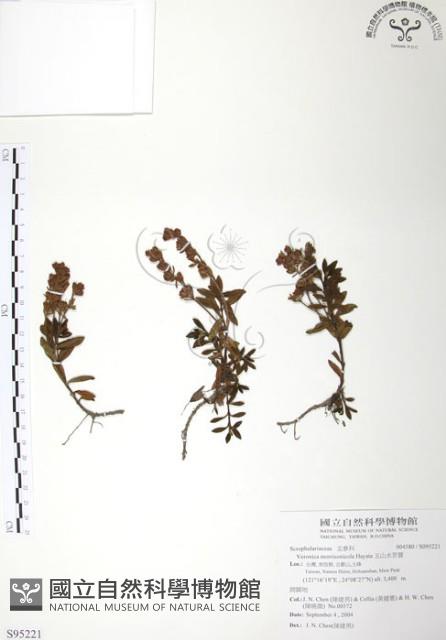 玉山水苦賈藏品圖，第1張