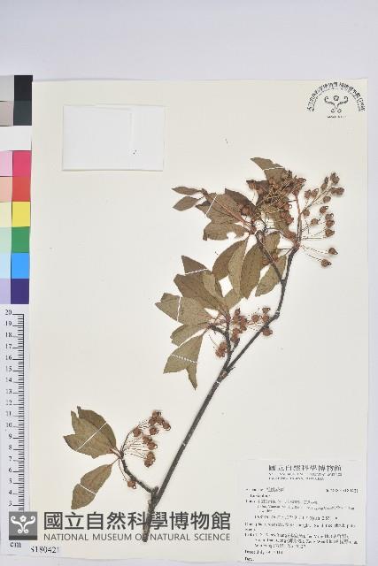 登錄號:S180421藏品圖，第1張