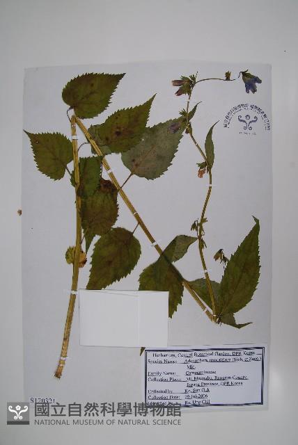 Accession Number:S120321 Collection Image, Figure 1, Total 2 Figures