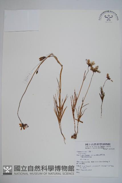 登錄號:S073821藏品圖，第1張