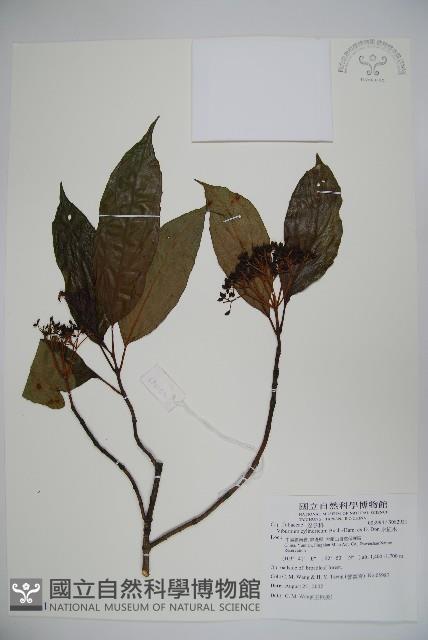 Accession Number:S082921 Collection Image, Figure 1, Total 2 Figures