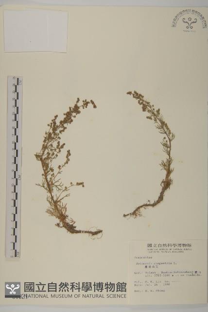 高山艾藏品圖，第1張