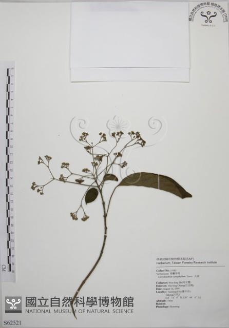 大青藏品圖，第1張