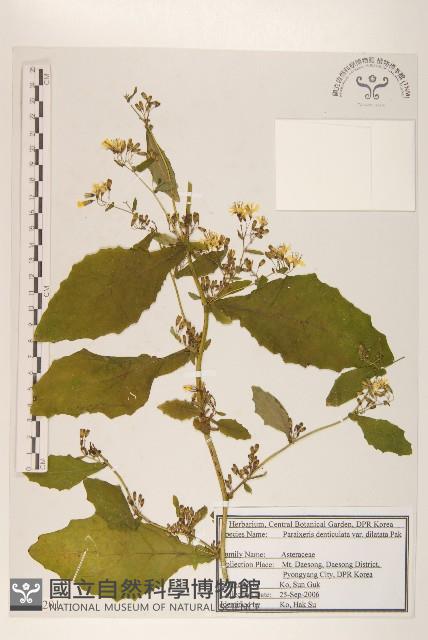 登錄號:S120201藏品圖，第1張