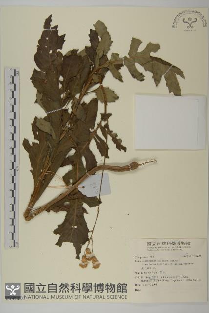 登錄號:S140201藏品圖，第1張