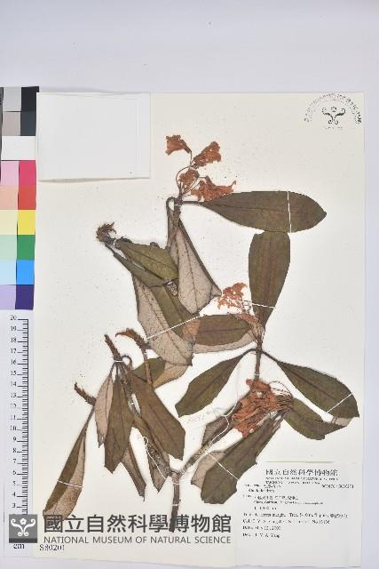 登錄號:S080201藏品圖，第1張