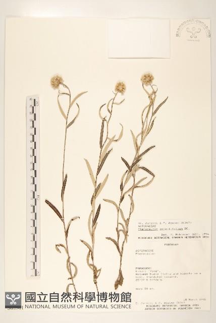 登錄號:S062301藏品圖，第1張