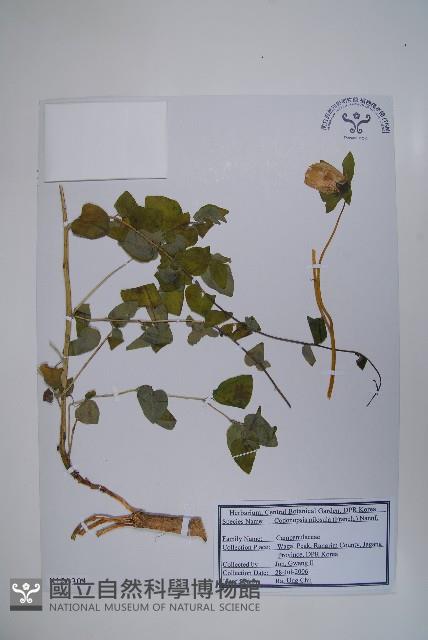 台參藏品圖，第1張