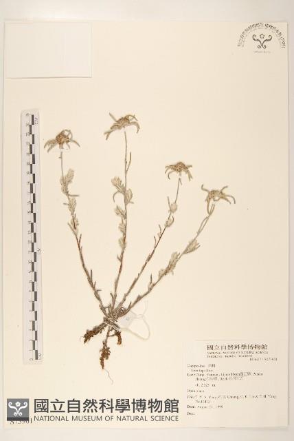 登錄號:S073901藏品圖，第1張