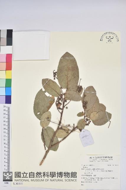 登錄號:S140611藏品圖，第1張