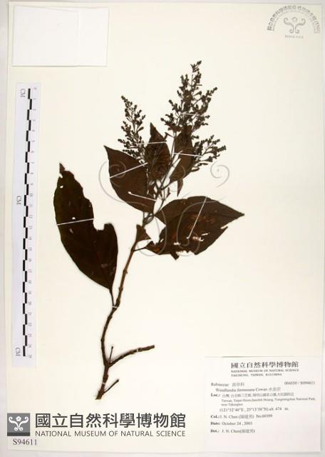水金京藏品圖，第1張