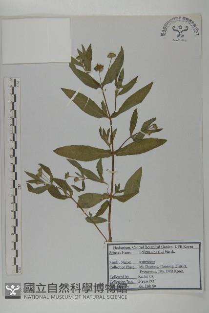 登錄號:S120211藏品圖，第1張