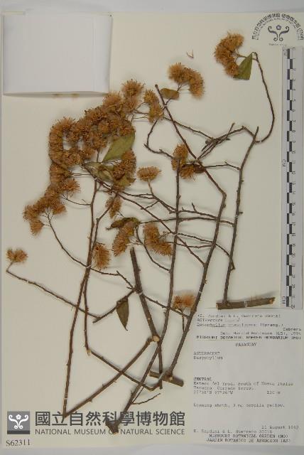 登錄號:S062311藏品圖，第1張