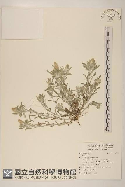 登錄號:S110811藏品圖，第1張