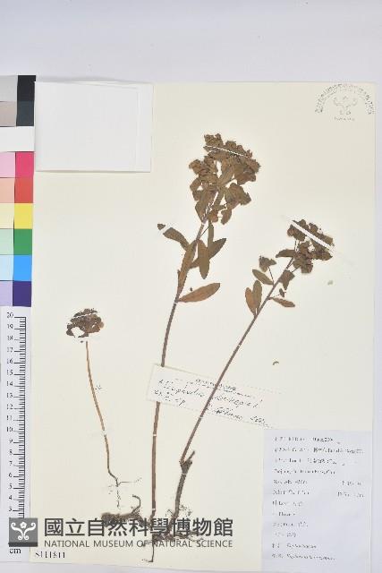 澤漆藏品圖，第1張