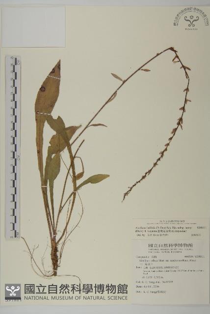 臺灣鬼督郵藏品圖，第1張