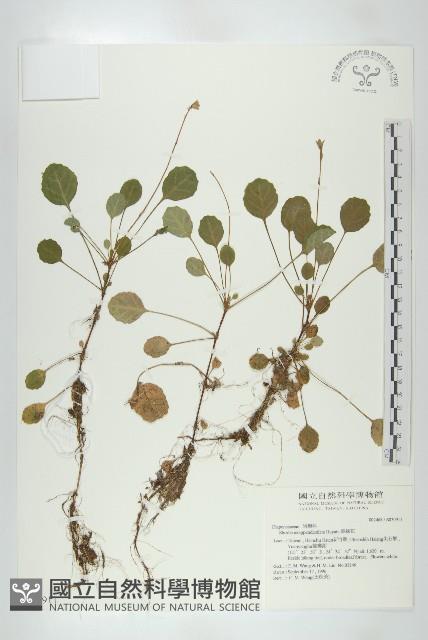 Accession Number:S030911 Collection Image, Figure 1, Total 2 Figures