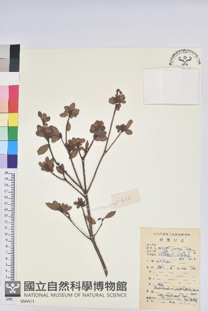 登錄號:S086651藏品圖，第1張