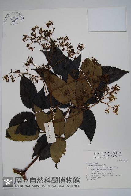 登錄號:S042651藏品圖，第1張