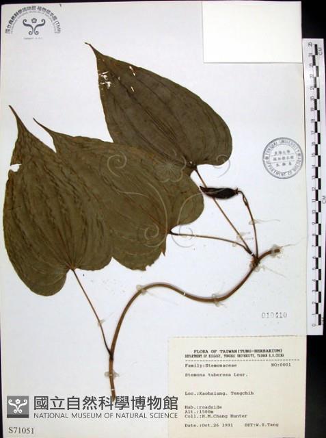 百部藏品圖，第1張