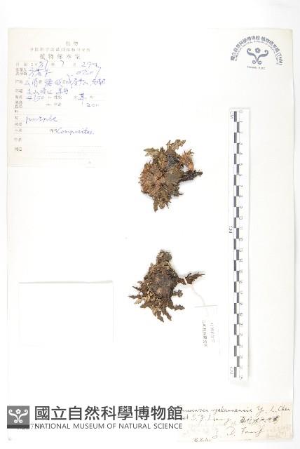 登錄號:S022751藏品圖，第1張