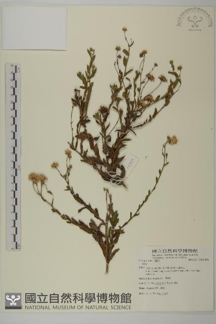 登錄號:S085451藏品圖，第1張